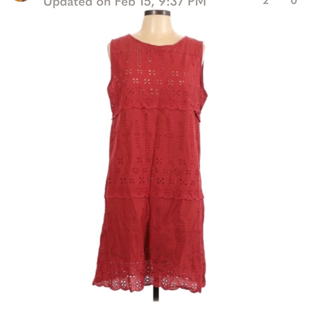 Amour vert large organic cotton eyelet lace dress